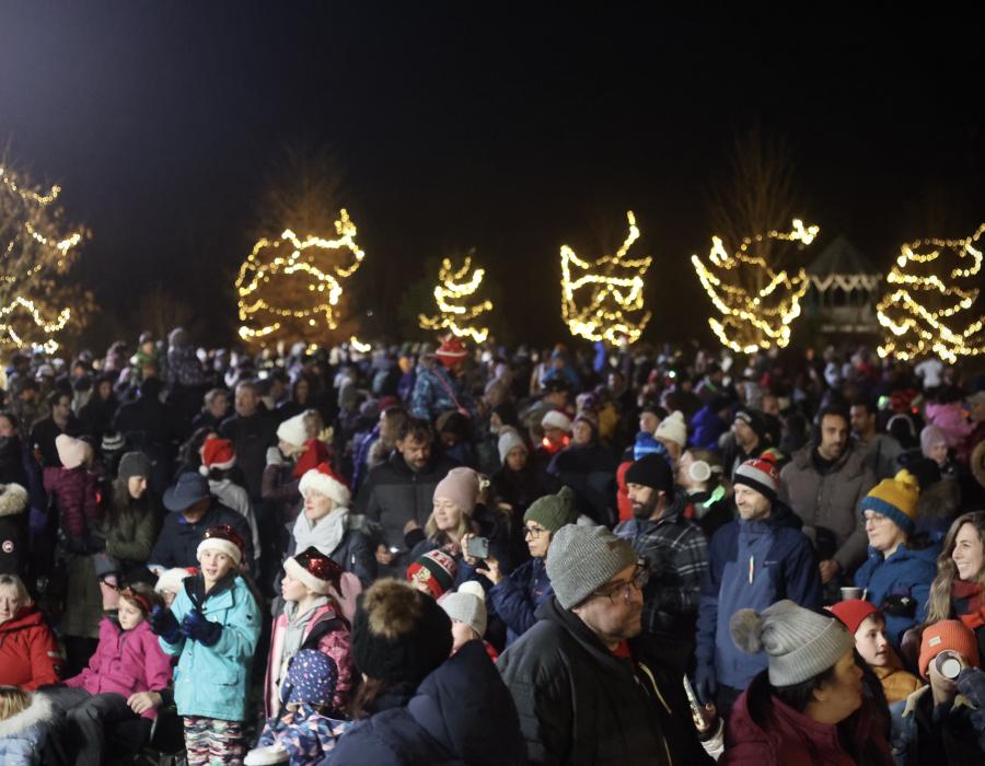 Tree Lighting