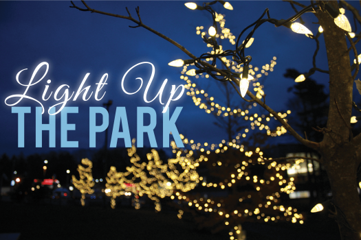 light up the Park Picture