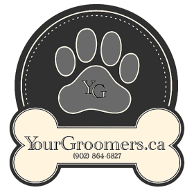 Your Groomer